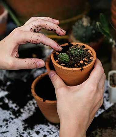 Kinks Group Inc Feature Image